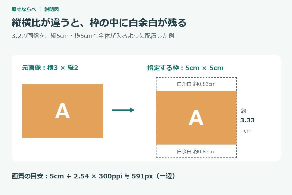 横長3対2の画像を5cm四方の枠に収めると画像部分は5cm×約3.33cmになる比較図
